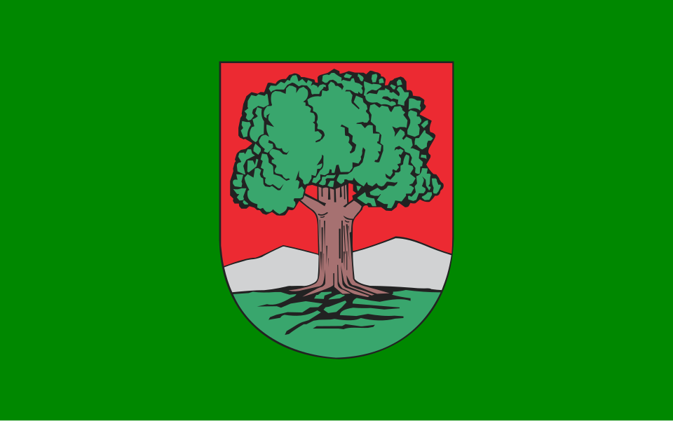 Flaga miasta Wałbrzych