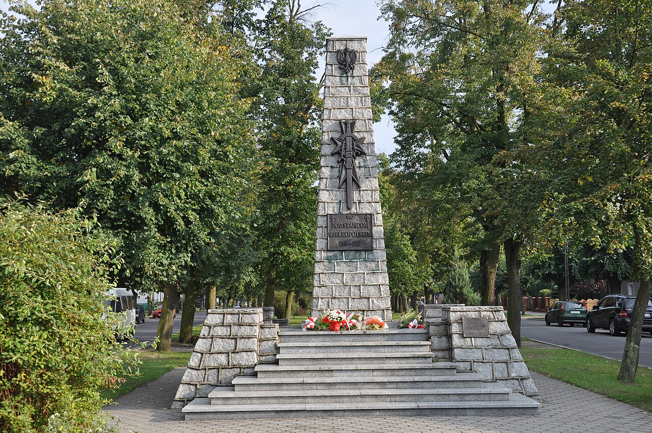 Widok miasta Zaniemyśl