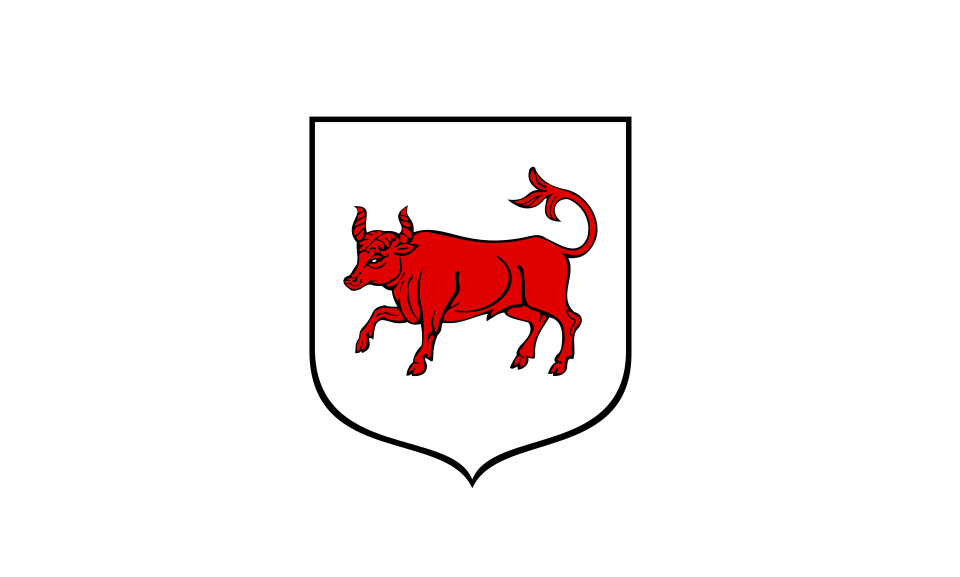 Flaga miasta Turek