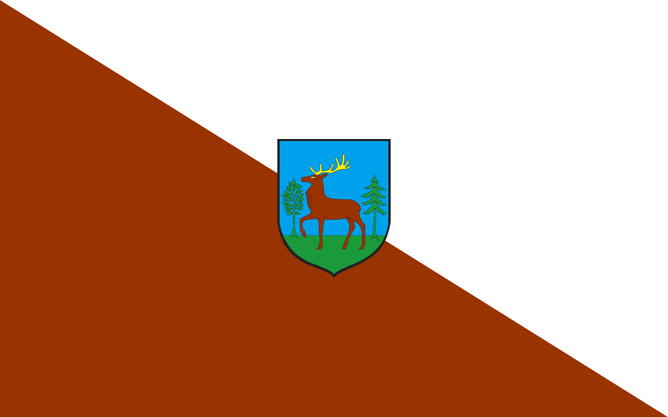 Flaga miasta Złotów