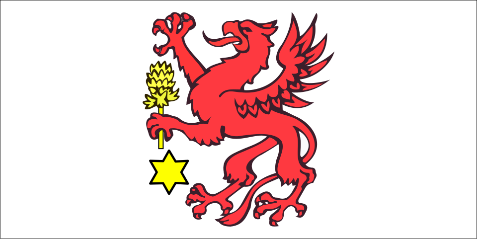 Flaga miasta Wolin